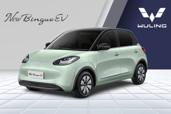 New Binguo EV